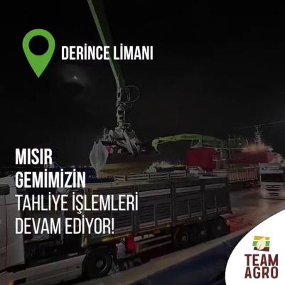 Derince Limanında Mısır Gemimizin Tahliye İşlemleri Devam Ediyor