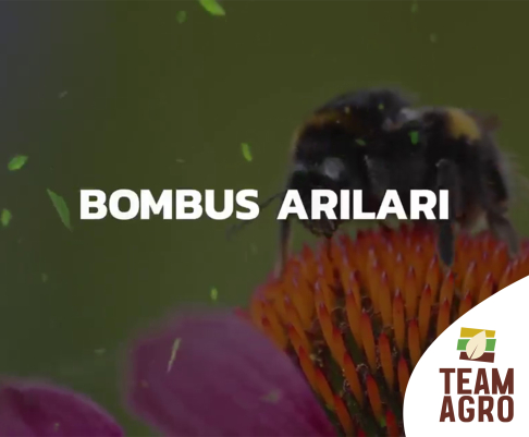 Doğanın Mucizesiyle Verimi Artırıyoruz!