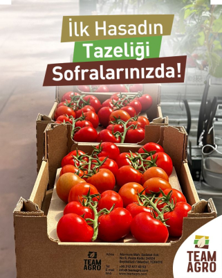 İlk hasadın tazeliği sofralarınıza ulaşıyor! 