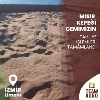 İzmir Limanında Mısır Kepeği Gemimizin Tahliye İşlemleri Tamamlandı