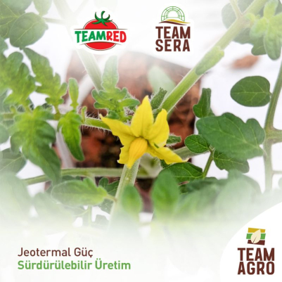 Jeotermal Güç, Sürdürülebilir Üretim!