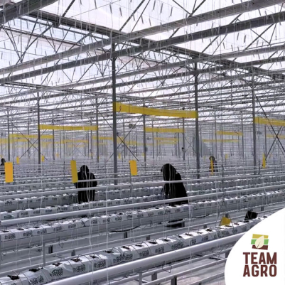 Jeotermal seramızda ilk fide dikimimiz!