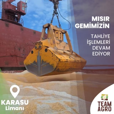 Karasu Limanı'nda Mısır Tahliyesi Sürüyor!