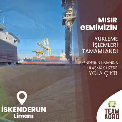 Mısır Gemimiz İskenderun Limanı Yolunda