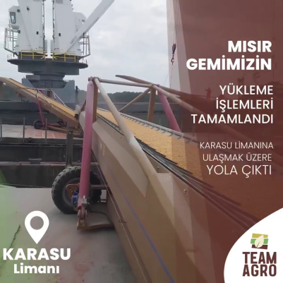 Mısır Gemimiz Karasu Limanına Doğru Yola Çıktı