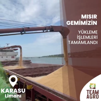 Mısır Gemimiz Karasu Limanına Doğru Yola Çıktı