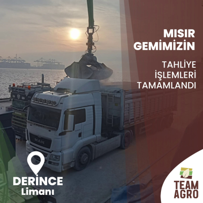 Mısır Gemimizin Tahliye İşlemleri Tamamlandı