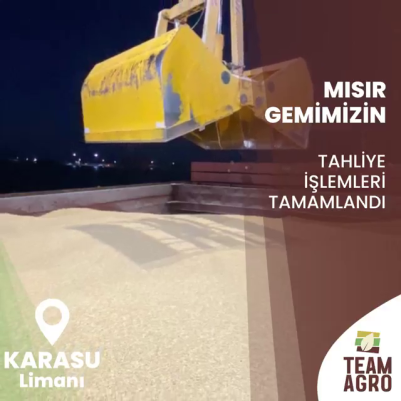 Mısır Gemimizin Tahliye İşlemleri Tamamlandı