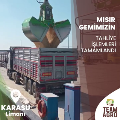 Mısır Gemimizin Tahliye İşlemleri Tamamlandı