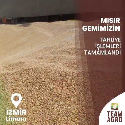 Mısır Gemimizin Tahliye İşlemleri Tamamlandı