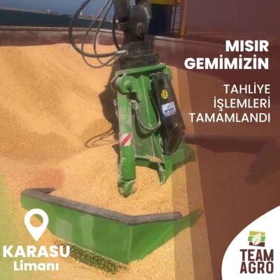 Mısır Gemimizin Tahliye İşlemleri Tamamlandı