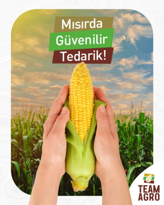 Mısırla Güvenilir Tedarik !