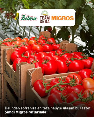 Salkım salkım tazelik şimdi de Migros’ta!