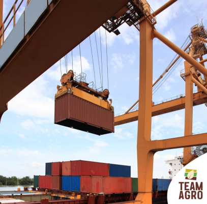 Şeker Sevkiyatlarımız Devam Ediyor