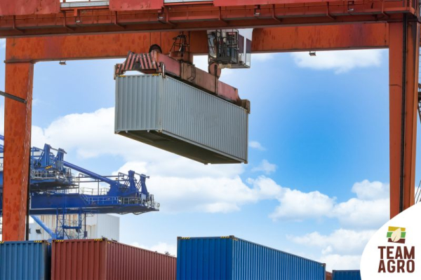 Şeker Sevkiyatlarımız Devam Ediyor