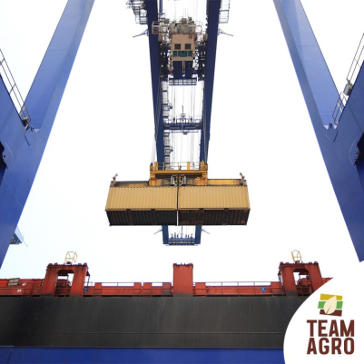 Şeker Sevkiyatlarımız Devam Ediyor