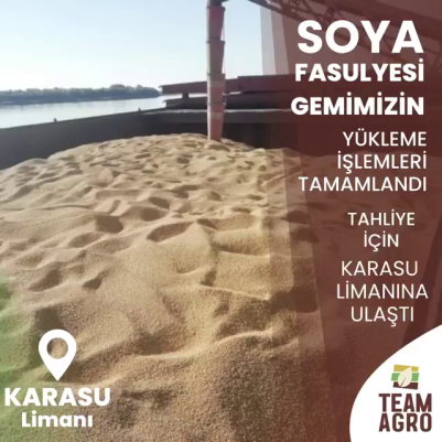 Soya Fasulyesi Gemimiz Karasu Limanında
