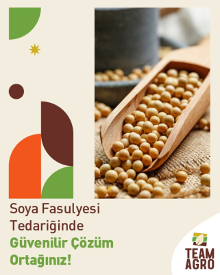 Soya fasulyesi tedariğinde güvenilir çözüm ortağınız! 