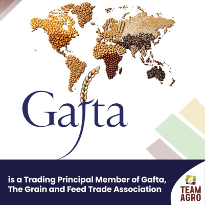 Capital 500 Araştırmasında 227. Sıradayız!