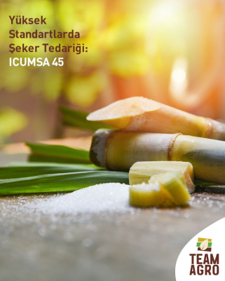 Team Agro ile yüksek standartlarda şeker tedariği!