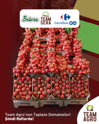 Team Agro’nun Taptaze Domatesleri Şimdi CarrefourSA Raflarında!