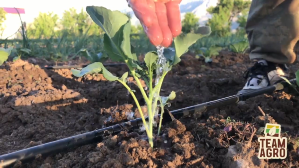 Toprağın Gücü , Geleceğin Bereketi !