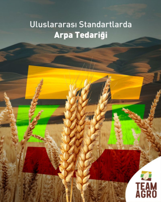 Uluslararası Standartlarda Arpa Tedariği Team Agro Güvencesiyle!