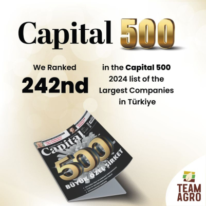 Capital 500 Araştırmasında 227. Sıradayız!
