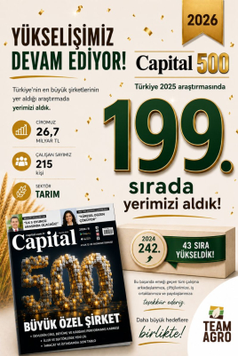 Capital 500 Araştırmasında 227. Sıradayız!
