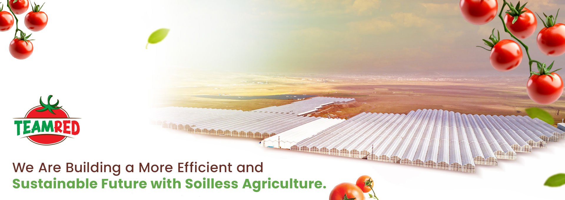 TeamRed Sustainable Future with Soilless Agriculture.